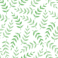3D五花牛美洲探险版-3D五花牛官方登录入口APP下载IOS/安卓/网页版